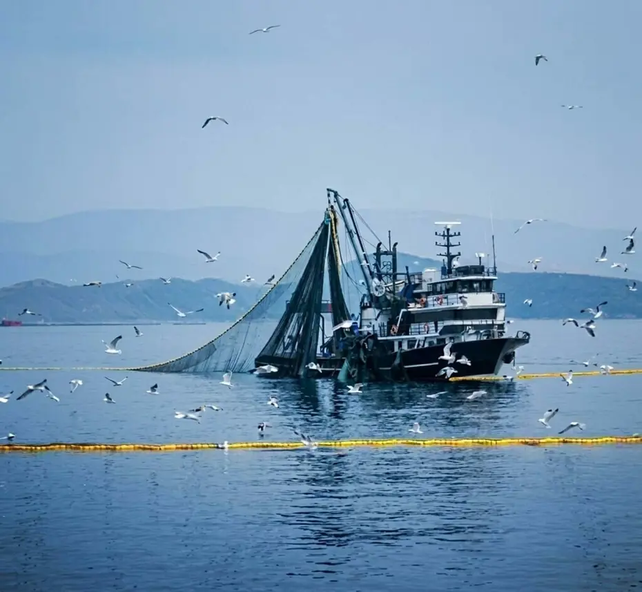 Denizlerde Av Yasağı Başlıyor: Balıkçılık İçin Yeni Dönem 15 Nisan'da