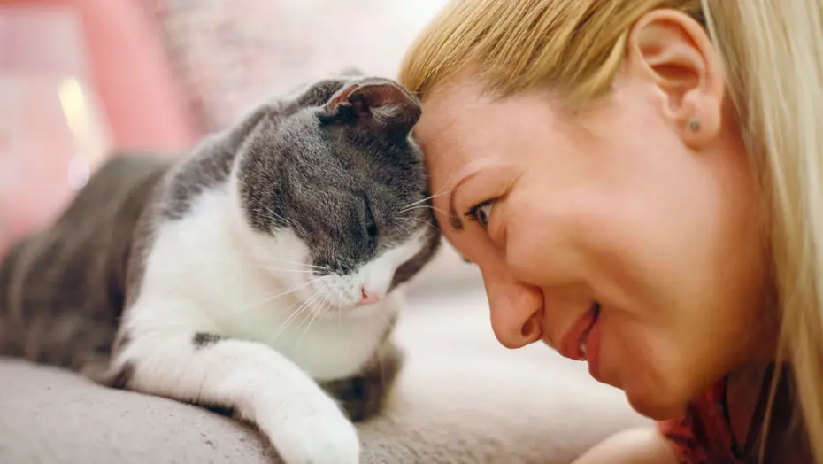 Evcil Hayvanlar İçin Devrimsel Kanal: PetTV Yayına Başladı