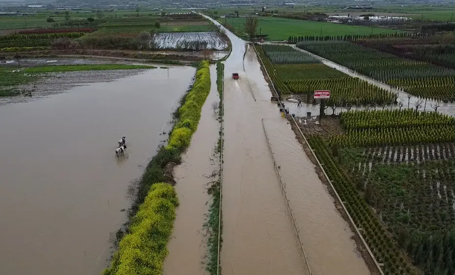 İzmir'de Kuvvetli Sağanak Hayatı Felç Etti: Tarım Arazileri Su Altında