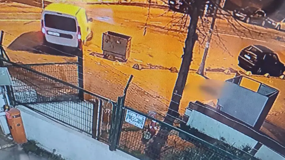 Kadıköy'de Skandal Olay: Kargo Aracıyla Kaldırımdaki Köpeği Ezip Kaçtılar