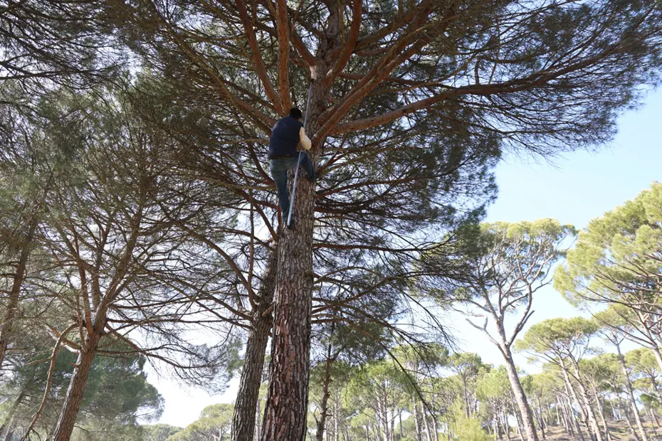 Künar Komandoları: Metrelerce Yükseklikte Ölümle Dans Eden İşçiler