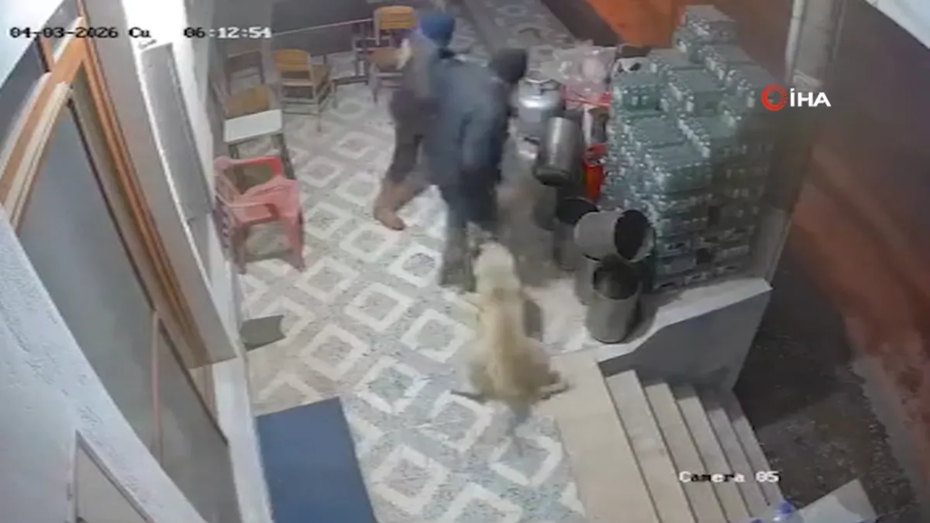Manisa'da Dehşet Anları: Sahipsiz Köpeklerin Saldırısı Sonucu Parmağı Koptu
