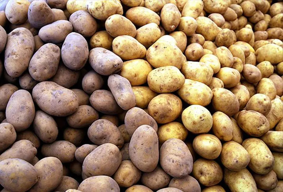 Patateste Fahiş Fiyat Skandalı: Tarlada 5 Lira Market Rafında 30 Lira